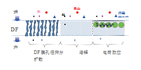 青岛水务碧水源介绍内容1836.png